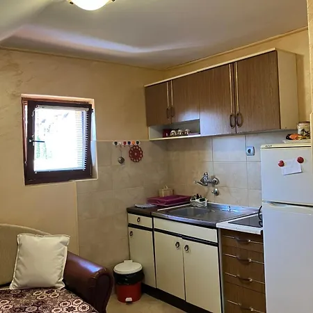 Kwatera prywatna Rada Zlatibor