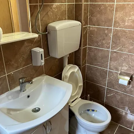 Ubytování v soukromí Rada Zlatibor