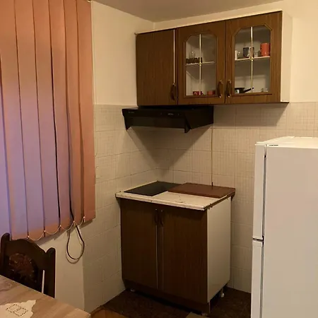 Kwatera prywatna Rada Zlatibor